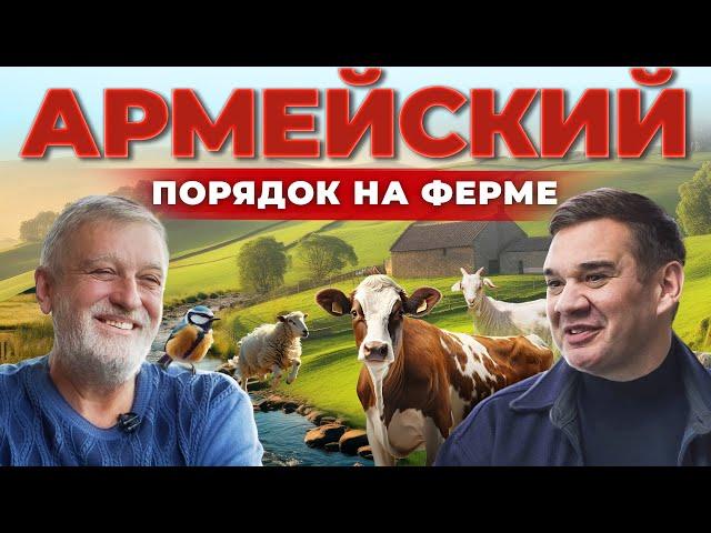 Куда бегут овцы с фермы? Животноводство. Козы и овцы. Как открыть свою ферму. Андрей Даниленко