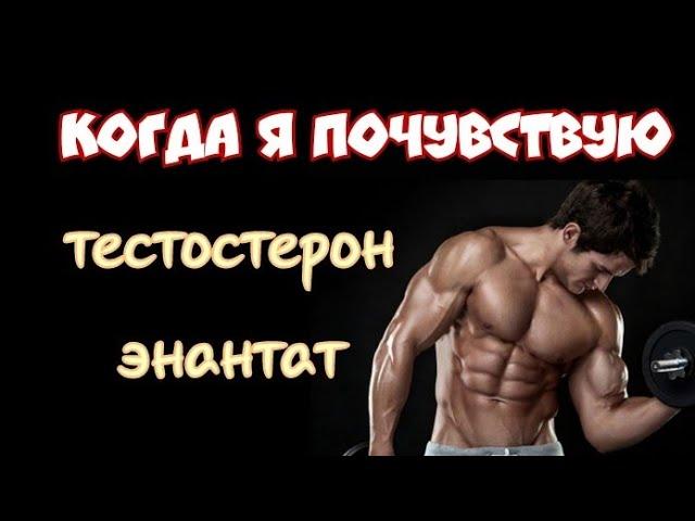 Когда я почувствую тестостерон энантат. Первый курс стероидов. Курс для новичков