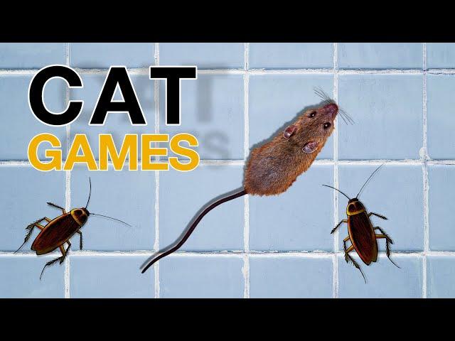 Cat games : Catching Mice & cockroach ! Video for Cats to Watch.