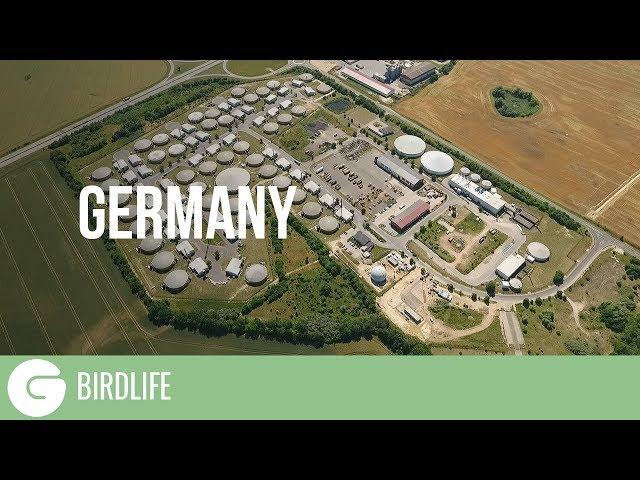 The Ugly Truth About Bioenergy | Germany