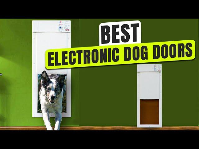 5 BEST Electronic Dog Door
