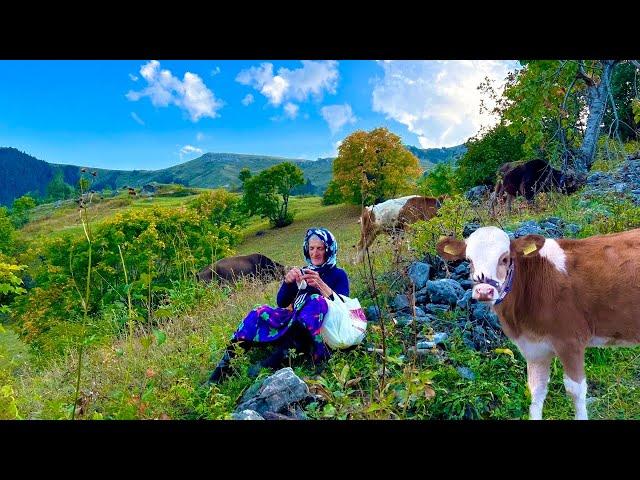 Happy life in a remote Turkish village at an altitude of two thousand meters