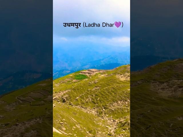 Panchari - #shorts #mountains #hillsong #traveling #himalayas #hindisong #jammu #travelvlog