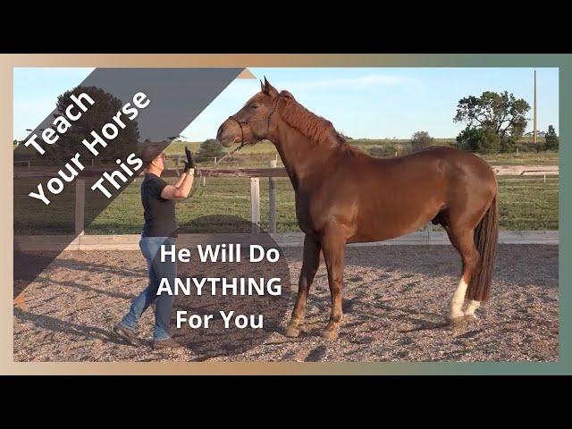 Groundwork for Horses - The First Thing I Teach