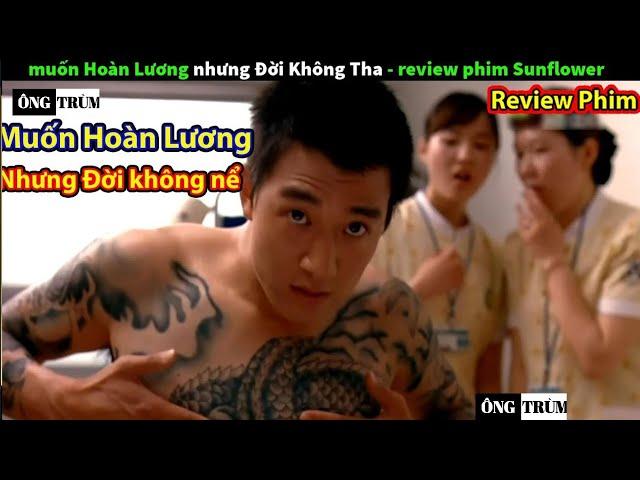 Review phim: Hoa Hướng Dương - Muốn Hoàn Lương Nhưng Đời Không Tha Thứ