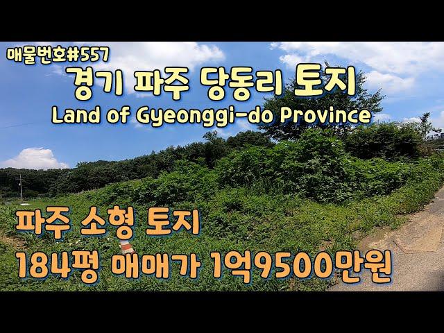 [E557]경기 파주시 당동리 토지. 문산역 5분거리, 주위 버스정류장, 초중고 인근/Korea.Land of Gyeonggi-do Province