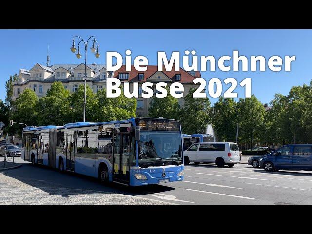 Die Münchner Busse bei der MVG 2021