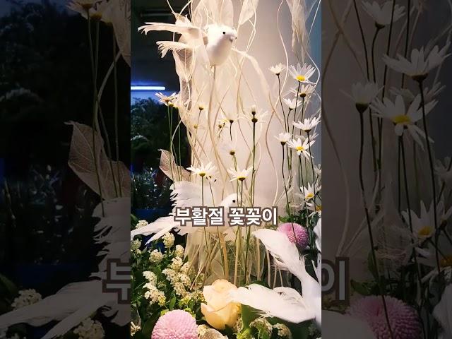 #부활절꽃꽂이#흰색#양재시장 대명소재에서~^^