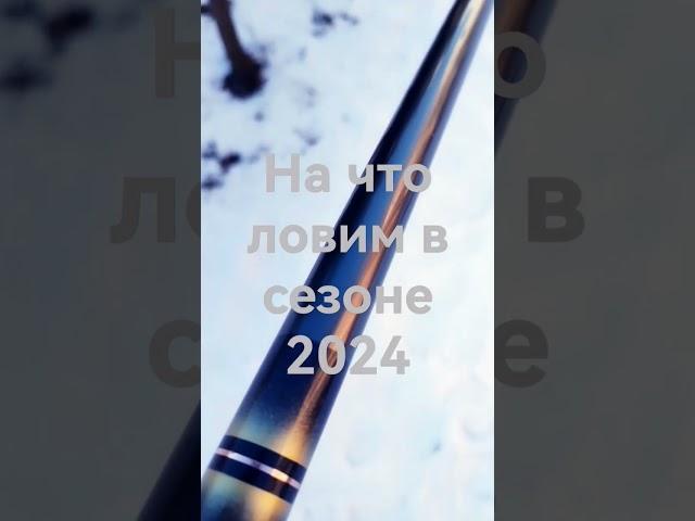 Бюджетная линейка удилищ для херабуны......