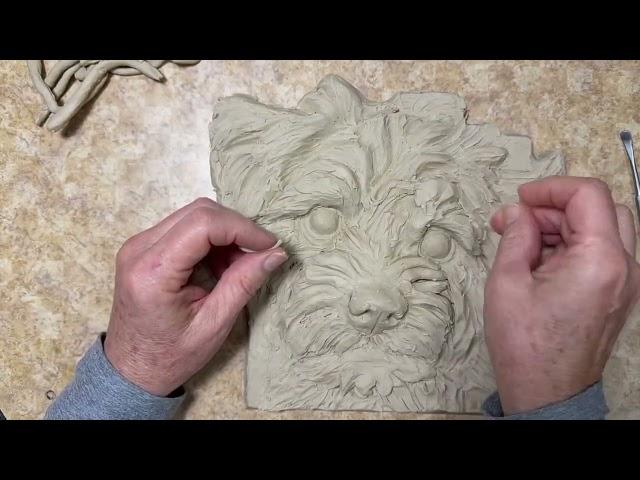 Watch artist Sondra Alexander sculpt a Norfolk Terrier | Pet Portraits