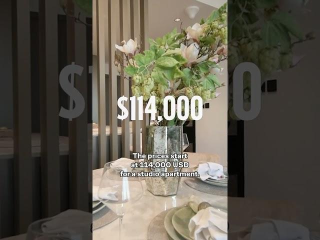 Dubai Real Estate Investment Opportunity