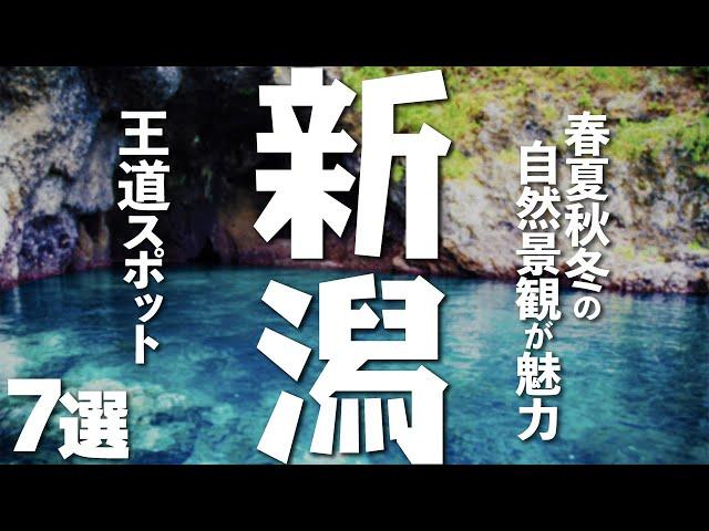 【新潟観光】新潟観光には欠かせない王道（定番）スポット７選