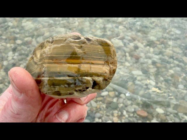 A Chilly Lake Huron Rock Hunt