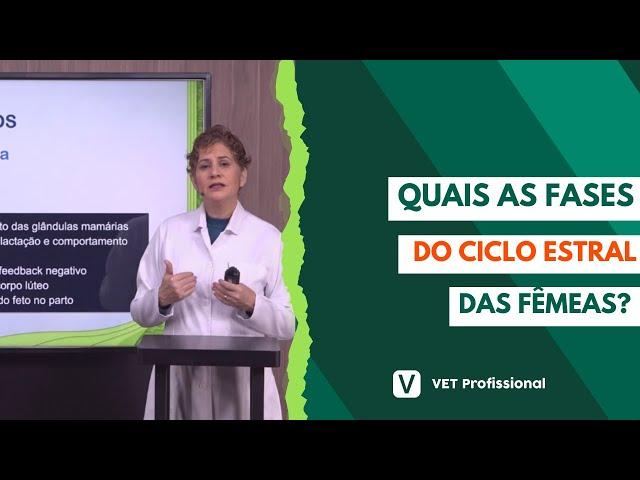 Fisiologia veterinária: sistema reprodutor das fêmeas