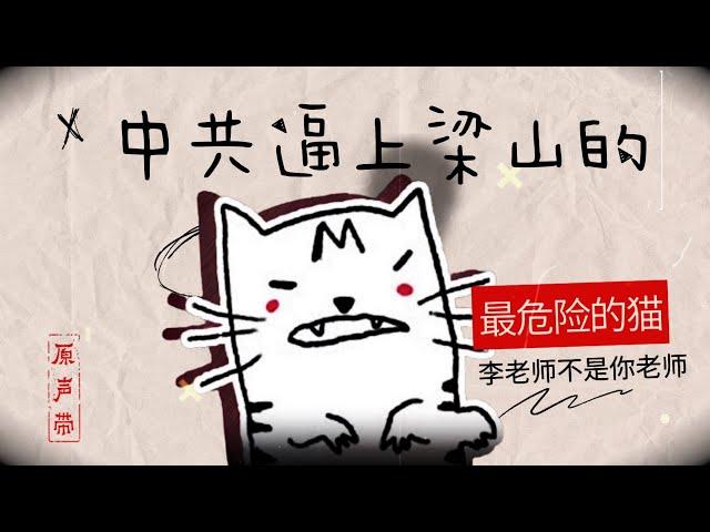 原声带·李老师不是你老师：中共逼上梁山的“最危险的猫”