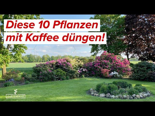 Diese 10 Pflanzen lieben Kaffeesatz! Kaffee als Dünger im Garten einsetzen!