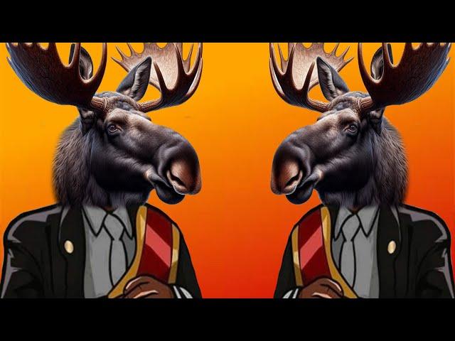 Funny Moose - Coffin Dance Meme ( COVER )