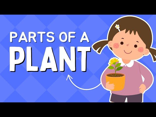 Kids Educational Videos | Kindergarten and Elementary ENGLISH SCIENCE | Parts of a Plant for Kids!!!