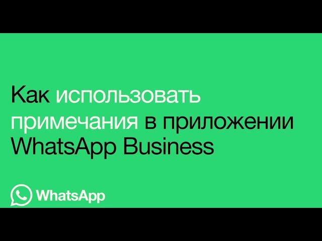 Как использовать примечания в приложении WhatsApp Business | WhatsApp