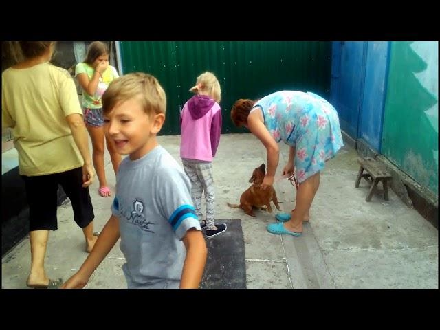 Гости из Украины