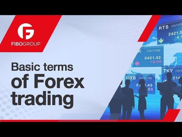 Basic terms and concepts of Forex trading | FIBO Group Lesson 2