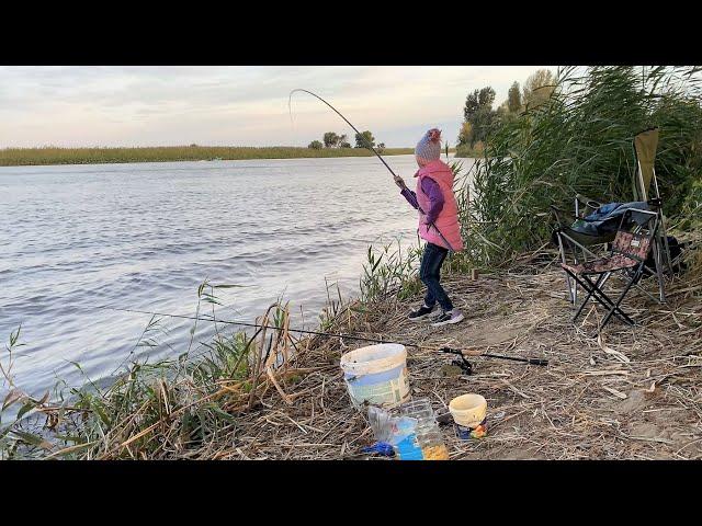 ОСЕННИЙ ЖОР РЫБЫ! РЫБАЛКА НА ПРОСТЫЕ ДОНКИ. Как засолить (завялить) рыбу.