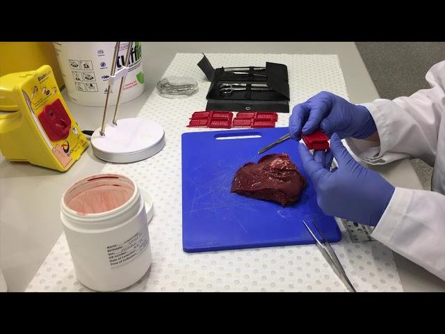 Histology Techniques and Equipment