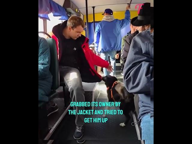 A Seat of Kindness...#short #shortvideo #shortsfeed