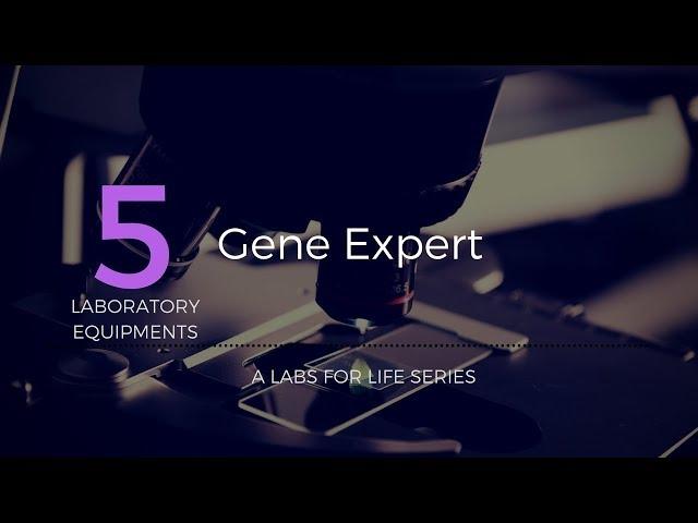 GENE EXPERT LO_