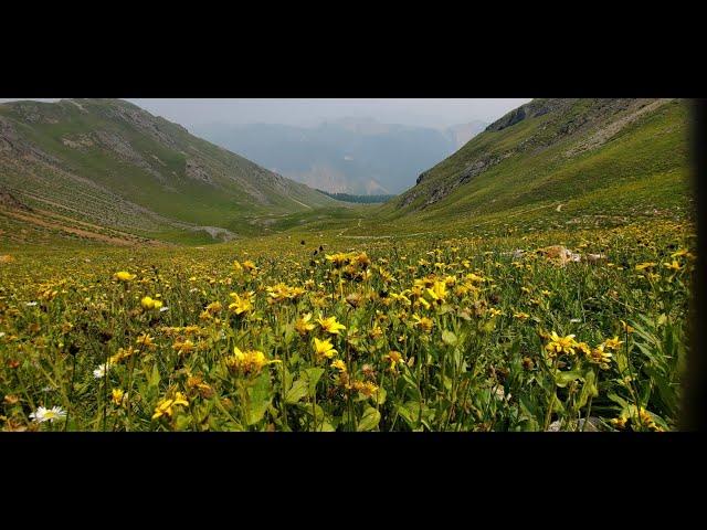 Columbine Lake Trail #509