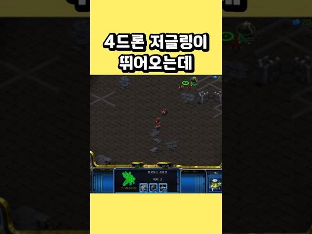 4드론 저글링이 뛰어오는데 시간끌고 본진에서 막자 #스타크래프트 #프로토스 #래더 #전략 #빌드