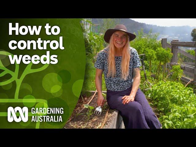 Simple methods to keep weeds under control | Gardening Hacks | Gardening Australia