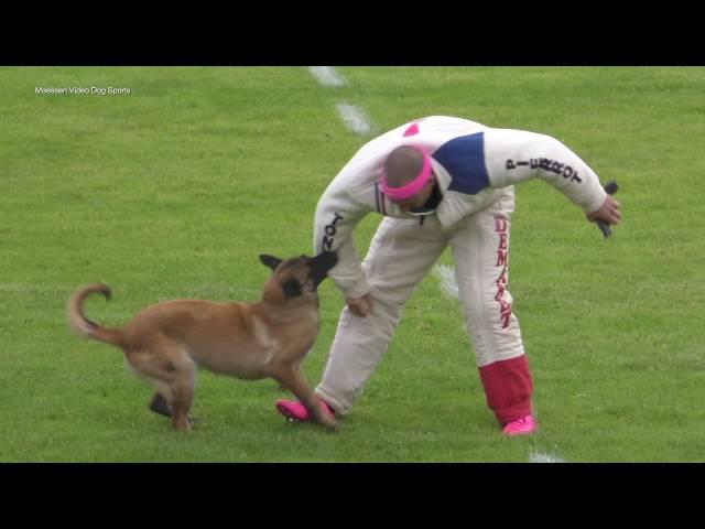 Championat de France de Ring 2016 Albertville
