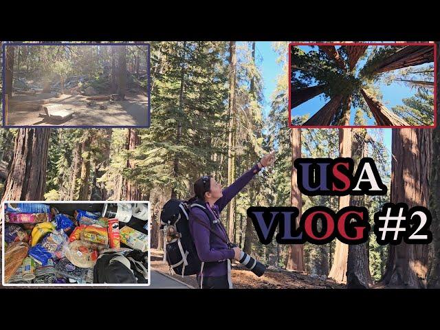 USA Vlog #2 Sequoia & Kings Canyon Nationalpark | Mammutbäume | Großeinkauf | Kalifornien