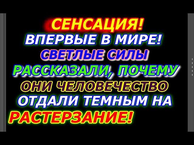 Сенсация! Светлые силы рассказали  воинам, почему Человечество они отдали темным  на растерзание