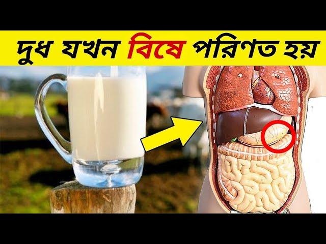 এই সময় ভুল করেও দুধ পান করবেন না , দুধ খাওয়ার আগে নিয়ম জানুন , নাহেল । Milk Several Benifits