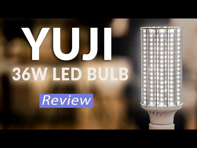 Super High CRI LED Bulb Review (Yuji Lights 36W Bulbs)