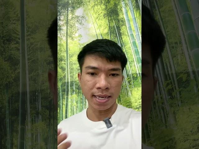 Tranh dán tường 3d sự thật về tranh 3d