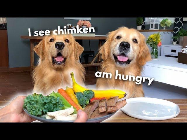 Dog Reviews Food With Grandpa | Tucker Taste Test 13