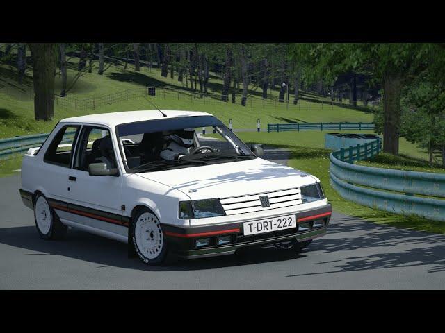 ASSETTO CORSA / PEUGEOT 309 GTi 16v Ph.2 Gr.N 1991 / BERGRENNEN PRESCOTT / 4K