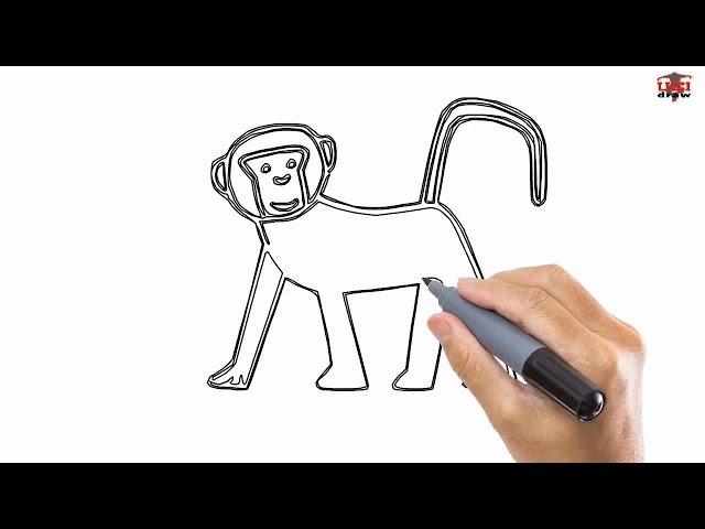 How to Draw a Monkey: Drawing by UCIDraw