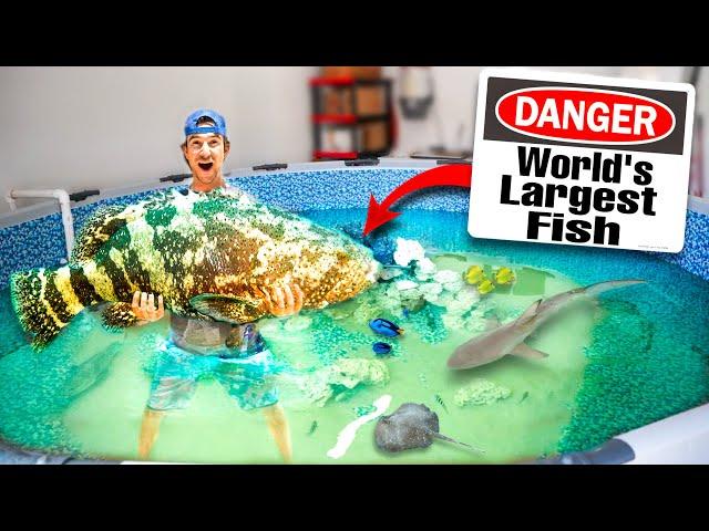 Saving GIANT FISH From ABANDONED AQUARIUM For My SALTWATER POND! (dangerous transfer)