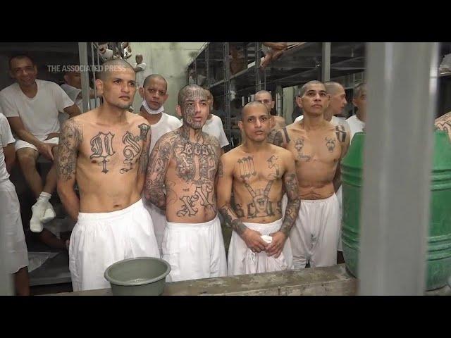 El Salvador gradually filling mega prison with alleged gang members