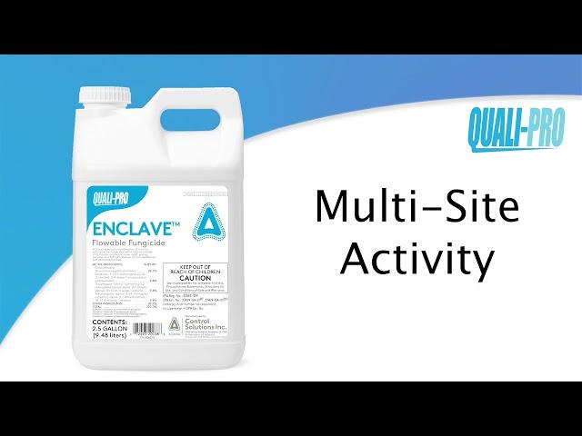 Quali-Pro Enclave Product Spotlight 2019