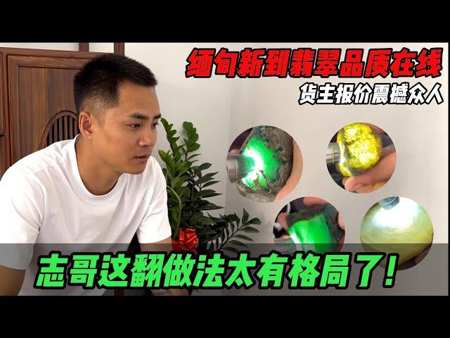 礦區新到翡翠品質線上！貨主報價震撼眾人，志哥這番做法太有格局了！丨#jade #玉 #赌石 #原石 #缅甸翡翠 #珠寶