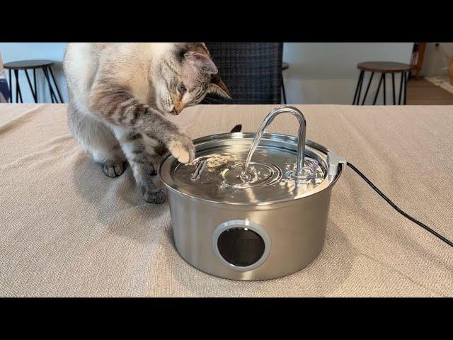 How to set up this cat drinking fountain! Demo and review of the FOFNON Cat Water Fountain