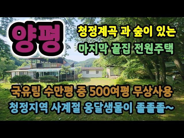 양평 수만평 숲속 토지1,200평 건물 3개동 전원주택 계곡이 있고 국유림 500여평 무상사용 본채38평 별채6평 창고6평 토굴있음 동네 마지막끝집 청정환경  매물번호31589