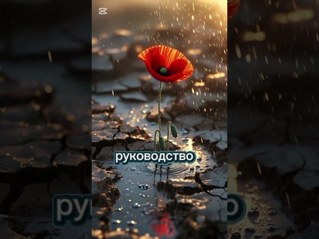 АЛЬ-ВАХХАБ — ТОТ, КТО ДАРУЕТ БЕЗГРАНИЧНО | Имя Аллаха, наполняющее сердца#Аллах #АльВаххаб #коран
