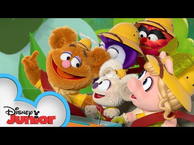 Backyard Safari | Muppet Babies | @disneyjr