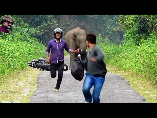 Elephant Chasing Bike Cycle Car & Foot Rider